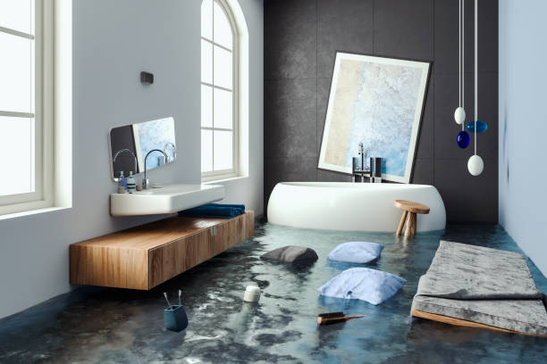 Best Water damage mitigation services  in Lakeland, MN