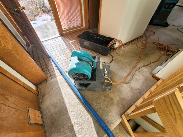 Best Local water damage restoration  in Lakeland, MN