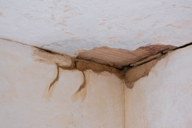 Best Water damage cleanup near me  in Lakeland, MN