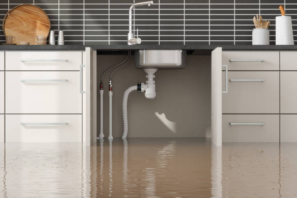 Best Fire Damage Restoration  in Lakeland, MN