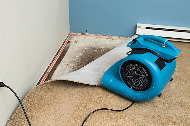 Best Commercial water damage restoration  in Lakeland, MN